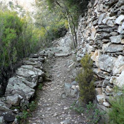 Occitanie Rando Trekking Herault Caroux Saint Martin De Arcon Sentier Des Gardes 20