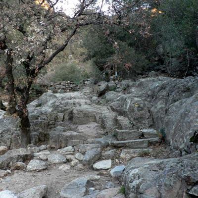 Occitanie Rando Trekking Herault Caroux Saint Martin De Arcon Sentier Des Gardes 25