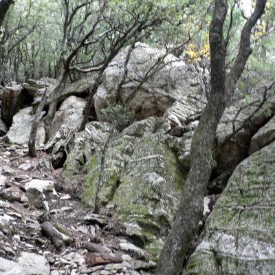Occitanie Rando Trekking Herault Caroux Saint Martin De Arcon Sentier Des Gardes 42