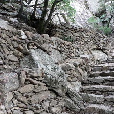 Occitanie Rando Trekking Herault Caroux Saint Martin De Arcon Sentier Des Gardes 44