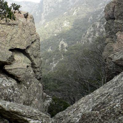 Occitanie Rando Trekking Herault Caroux Saint Martin De Arcon Sentier Des Gardes 49