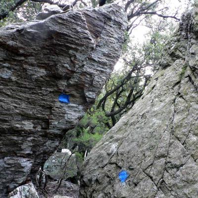 Occitanie Rando Trekking Herault Caroux Saint Martin De Arcon Sentier Des Gardes 68