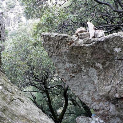 Occitanie Rando Trekking Herault Caroux Saint Martin De Arcon Sentier Des Gardes 69