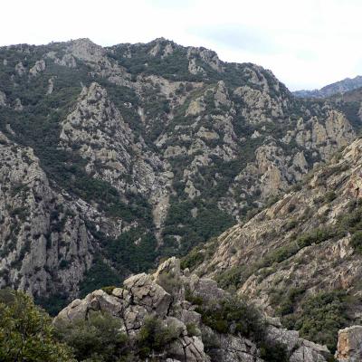 Occitanie Rando Trekking Herault Caroux Saint Martin De Arcon Sentier Des Gardes 75