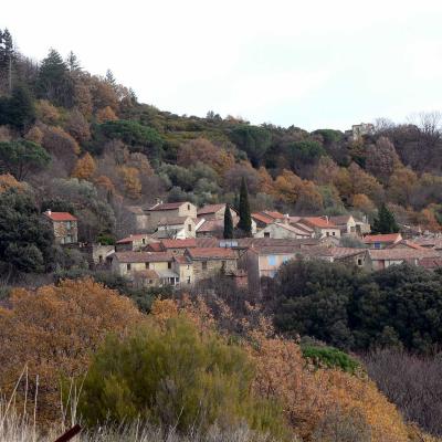 Occitanie Rando Trekking Herault Caroux Saint Martin De Arcon Sentier Des Gardes 84