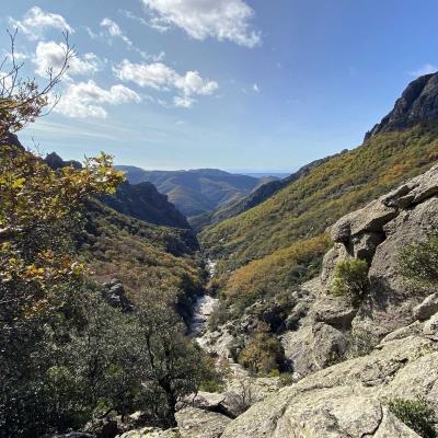 Occitanie Rando Trekking Caroux Colombieres Piste Buffe Les Seilhols Arrete La Fage 14