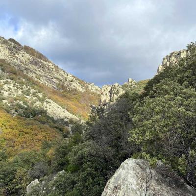 Occitanie Rando Trekking Caroux Colombieres Piste Buffe Les Seilhols Arrete La Fage 17