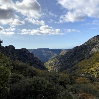 Occitanie Rando Trekking Caroux Colombieres Piste Buffe Les Seilhols Arrete La Fage 18