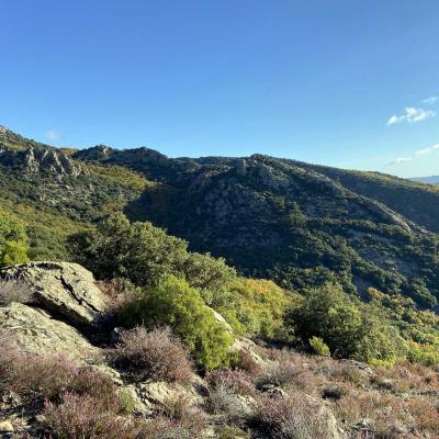 Occitanie Rando Trekking Caroux Colombieres Piste Buffe Les Seilhols Arrete La Fage 31