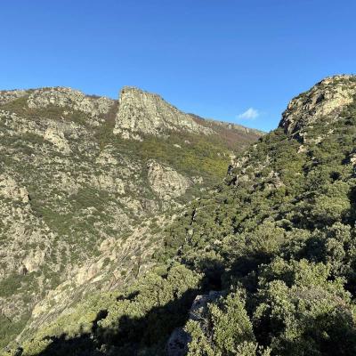 Occitanie Rando Trekking Caroux Colombieres Piste Buffe Les Seilhols Arrete La Fage 36