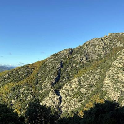 Occitanie Rando Trekking Caroux Colombieres Piste Buffe Les Seilhols Arrete La Fage 40