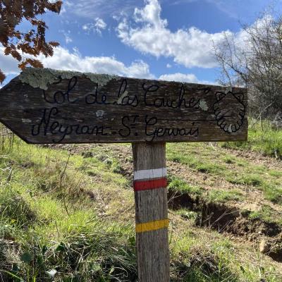 Occitanie Rando Trekking Herault Valle Mare Roquandouire Haut Languedoc 113