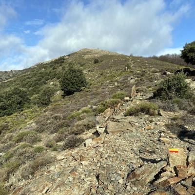 Occitanie Rando Trekking Herault Valle Mare Roquandouire Haut Languedoc 63