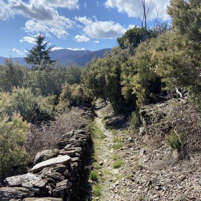 Occitanie Rando Trekking Herault Valle Mare Roquandouire Haut Languedoc 81