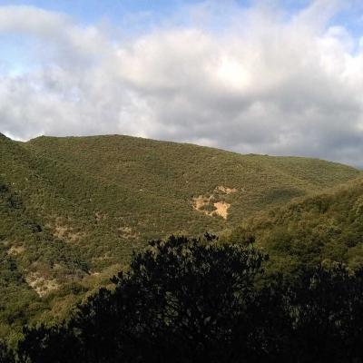 Occitanie Rando Randonnee Gard Sumene Ranc De Banes 031