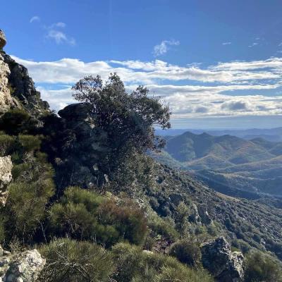 Occitanie Rando Trekking Saint Gervais Sur Mare Vallee Andabre Marcou Haut Languedoc 66