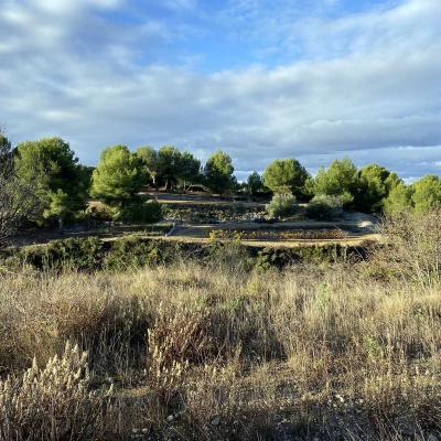 Occitanie Rando Randonnee Montagnac Art Nature Sculptures Vallee Herault 01