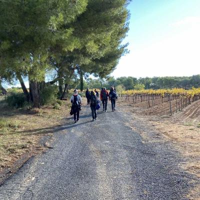 Occitanie Rando Randonnee Montagnac Art Nature Sculptures Vallee Herault 10