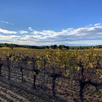 Occitanie Rando Randonnee Montagnac Art Nature Sculptures Vallee Herault 11