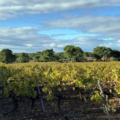 Occitanie Rando Randonnee Montagnac Art Nature Sculptures Vallee Herault 15