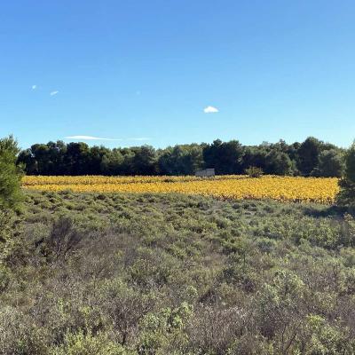 Occitanie Rando Randonnee Montagnac Art Nature Sculptures Vallee Herault 20