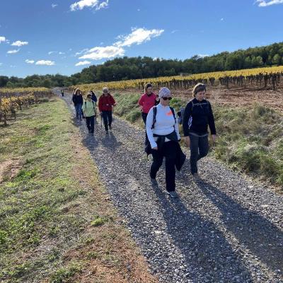 Occitanie Rando Randonnee Montagnac Art Nature Sculptures Vallee Herault 26