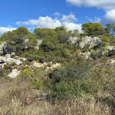Occitanie Rando Randonnee Montagnac Art Nature Sculptures Vallee Herault 29
