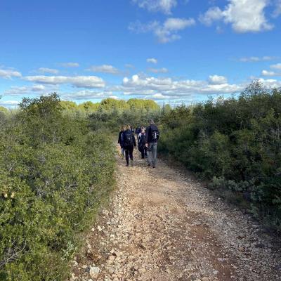 Occitanie Rando Randonnee Montagnac Art Nature Sculptures Vallee Herault 33