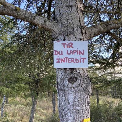 Occitanie Rando Randonnee Montagnac Art Nature Sculptures Vallee Herault 34