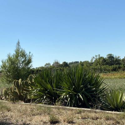 Occitanie Rando Randonnee Herault Le Pouget Fontaines Et Lavoirs 27