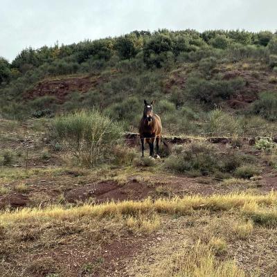 Occitanie Rando Randonnee Herault Octon Chapelle Notre Dame De Roubignac Dolmen Toucou Chateau Lauzieres 01