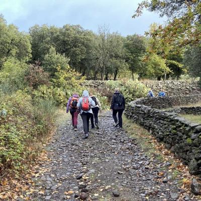 Occitanie Rando Randonnee Herault Octon Chapelle Notre Dame De Roubignac Dolmen Toucou Chateau Lauzieres 02