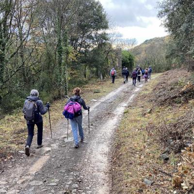 Occitanie Rando Randonnee Herault Octon Chapelle Notre Dame De Roubignac Dolmen Toucou Chateau Lauzieres 16
