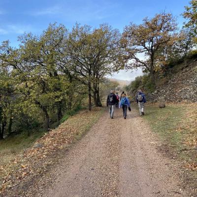 Occitanie Rando Randonnee Herault Octon Chapelle Notre Dame De Roubignac Dolmen Toucou Chateau Lauzieres 24