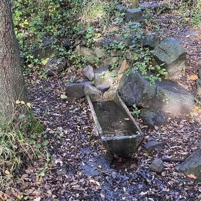 Occitanie Rando Randonnee Herault Octon Chapelle Notre Dame De Roubignac Dolmen Toucou Chateau Lauzieres 26