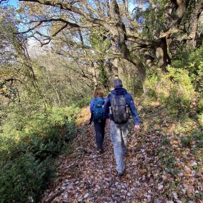 Occitanie Rando Randonnee Herault Octon Chapelle Notre Dame De Roubignac Dolmen Toucou Chateau Lauzieres 28