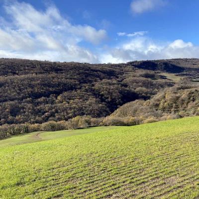 Occitanie Rando Randonnee Herault Octon Chapelle Notre Dame De Roubignac Dolmen Toucou Chateau Lauzieres 29