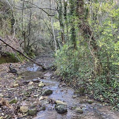 Occitanie Rando Randonnee Herault Octon Chapelle Notre Dame De Roubignac Dolmen Toucou Chateau Lauzieres 38