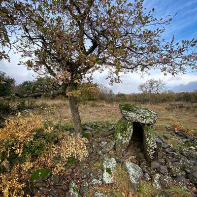 Occitanie Rando Randonnee Herault Octon Chapelle Notre Dame De Roubignac Dolmen Toucou Chateau Lauzieres Chris 02