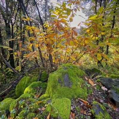 Occitanie Rando Randonnee Herault Octon Chapelle Notre Dame De Roubignac Dolmen Toucou Chateau Lauzieres Chris 05