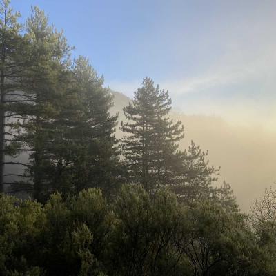 Occitanie Rando Trekking Herault Colombires Portail Cades Pomarde Albine 10