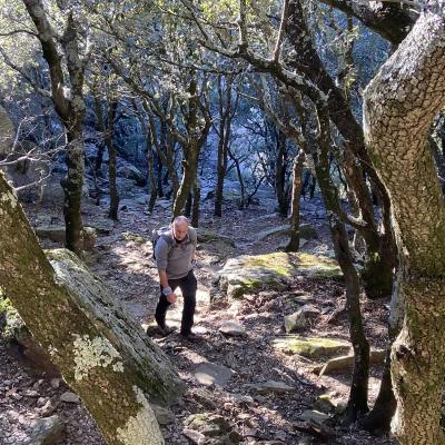 Occitanie Rando Trekking Herault Colombires Portail Cades Pomarde Albine 120