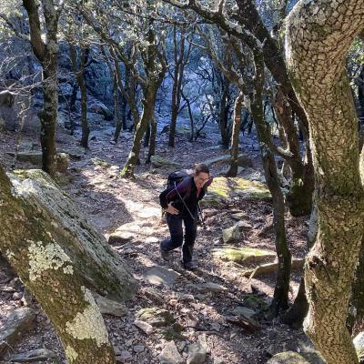 Occitanie Rando Trekking Herault Colombires Portail Cades Pomarde Albine 121