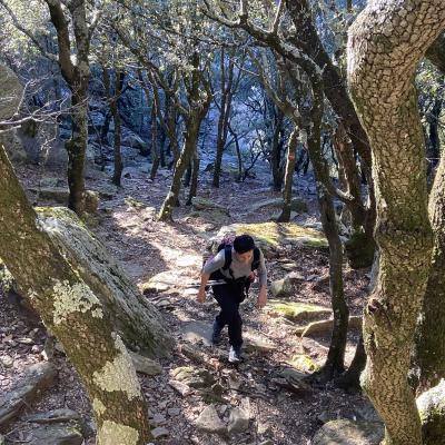 Occitanie Rando Trekking Herault Colombires Portail Cades Pomarde Albine 124