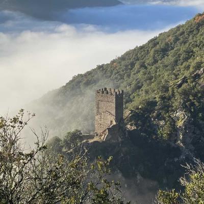Occitanie Rando Trekking Herault Colombires Portail Cades Pomarde Albine 23