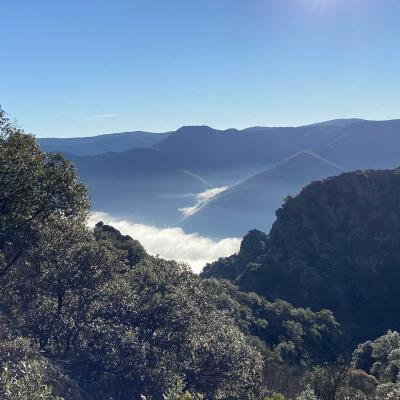 Occitanie Rando Trekking Herault Colombires Portail Cades Pomarde Albine 41