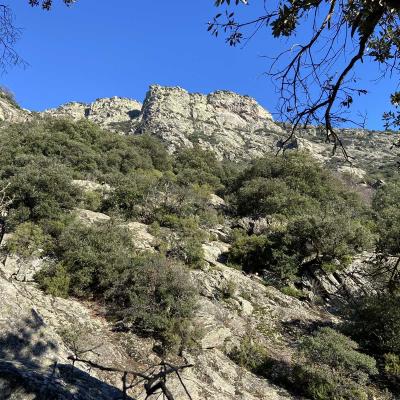 Occitanie Rando Trekking Herault Colombires Portail Cades Pomarde Albine 61