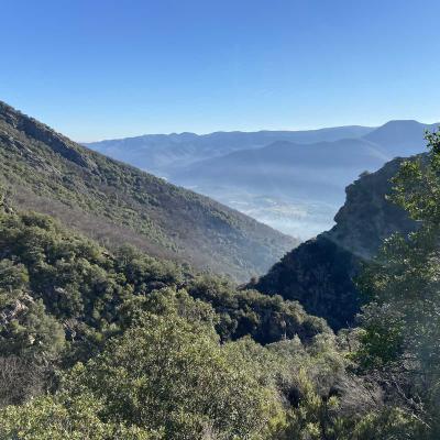Occitanie Rando Trekking Herault Colombires Portail Cades Pomarde Albine 63