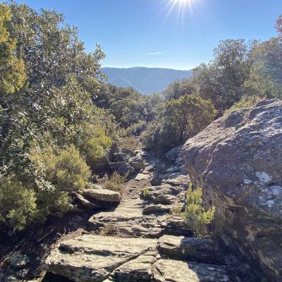 Occitanie Rando Trekking Herault Colombires Portail Cades Pomarde Albine 66