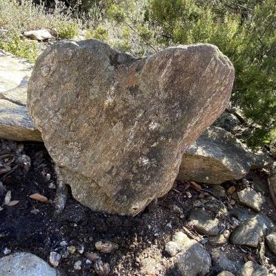 Occitanie Rando Trekking Herault Colombires Portail Cades Pomarde Albine 81
